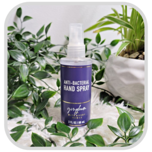 BATH & BODY WORKS GINGHAM HAND SANITIZER