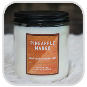 Pineapple Mango 1wick