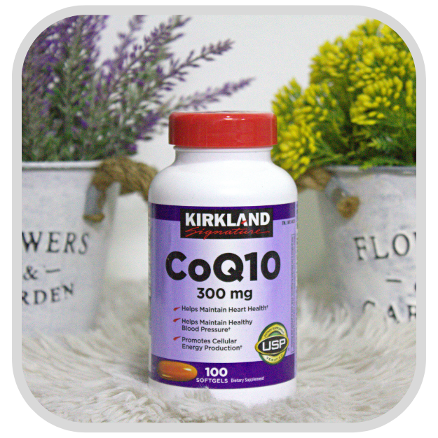KIRKLAND COQ10 BrigettesPH